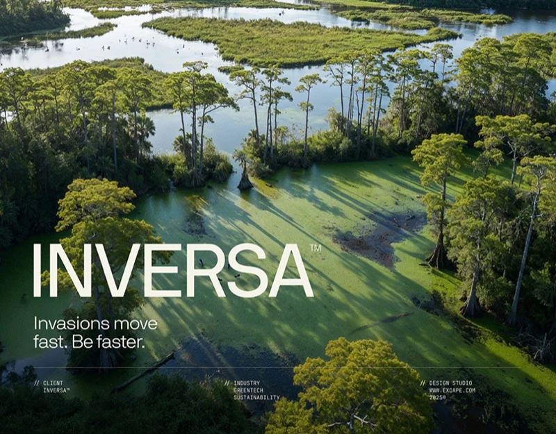 Ecological Technology Website Content Design: Read the Map design preview